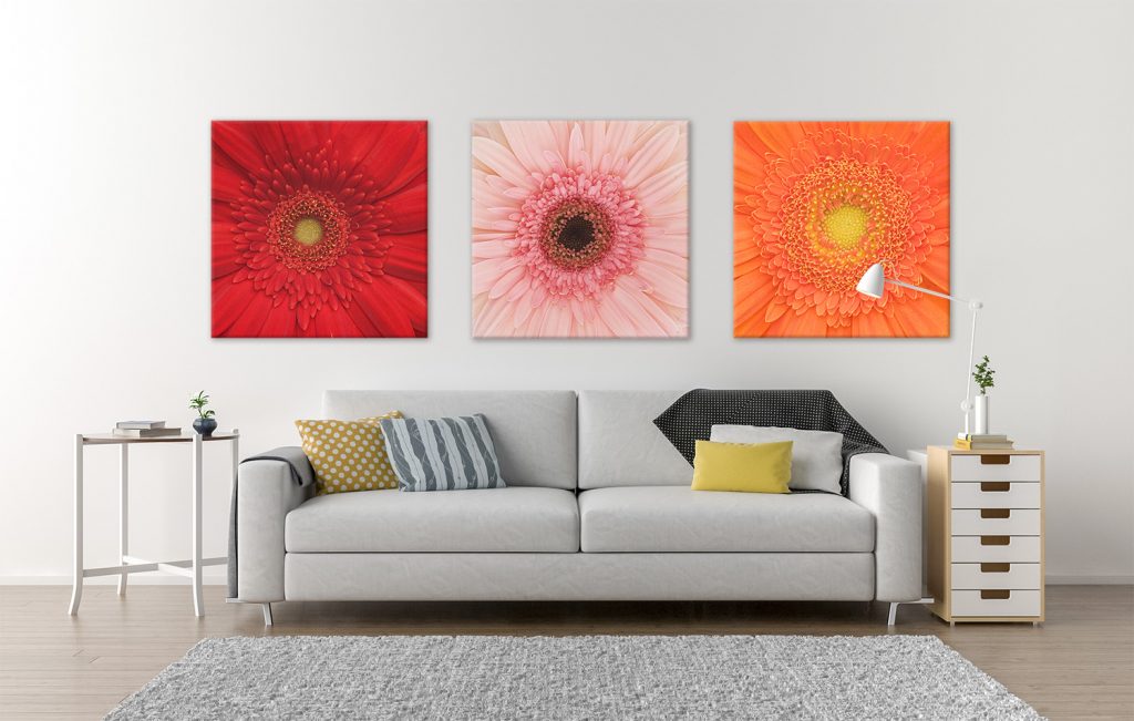 Fine art photography displayed, macro images of flowers on wall behind couch